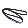 Serpentine Belt